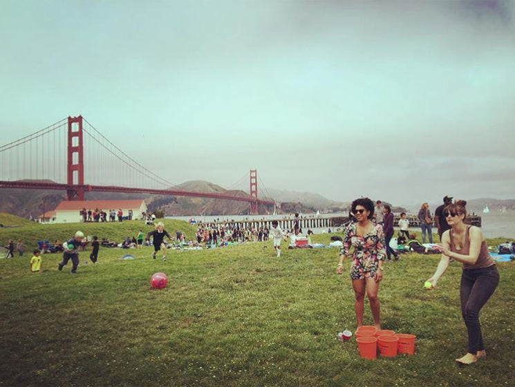 Giant Lawn Pong